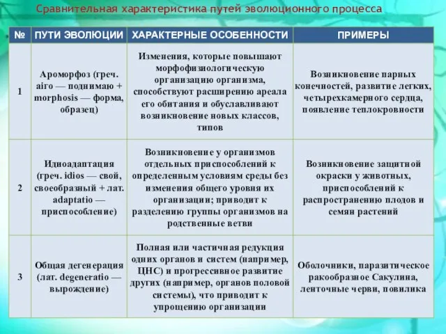 Сравнительная характеристика путей эволюционного процесса