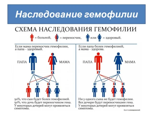 Наследование гемофилии