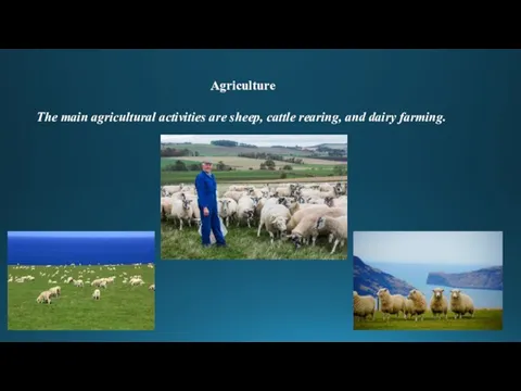 Agriculture The main agricultural activities are sheep, cattle rearing, and dairy farming.