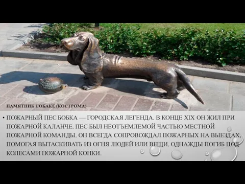 ПАМЯТНИК СОБАКЕ (КОСТРОМА) ПОЖАРНЫЙ ПЕС БОБКА — ГОРОДСКАЯ ЛЕГЕНДА. В КОНЦЕ XIX