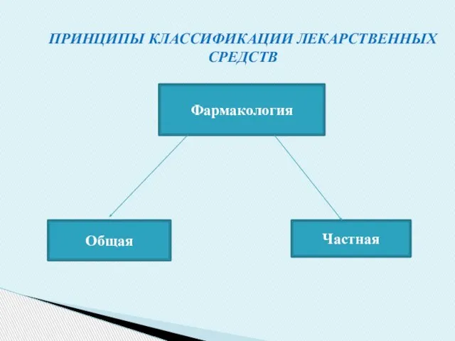 ПРИНЦИПЫ КЛАССИФИКАЦИИ ЛЕКАРСТВЕННЫХ СРЕДСТВ Фармакология Частная Общая