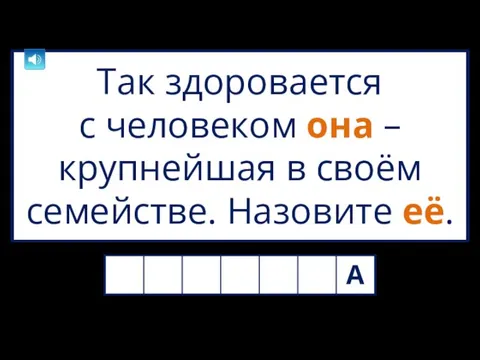 Так здоровается с человеком она – крупнейшая в своём семействе. Назовите её.