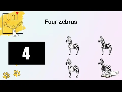 Four zebras