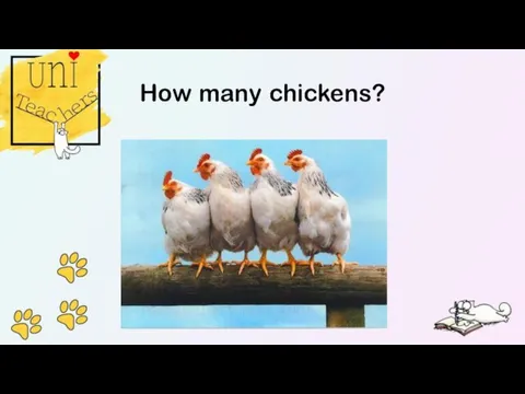 How many chickens?