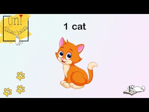 1 cat