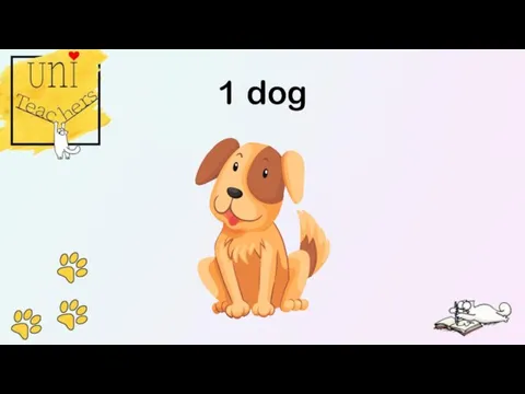 1 dog