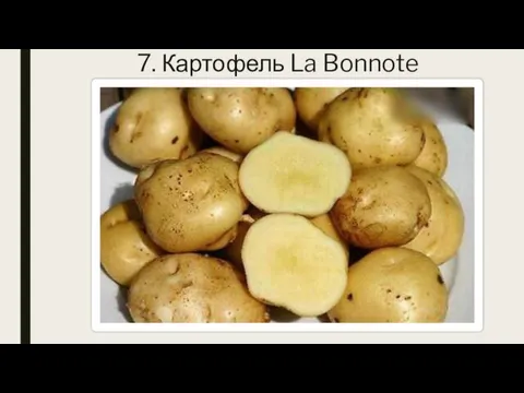 7. Картофель La Bonnote