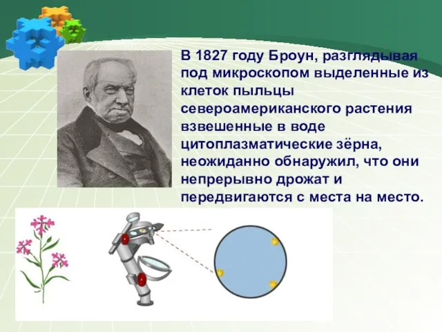 В 1827 году Броун, разглядывая под микроскопом выделенные из клеток пыльцы североамериканского