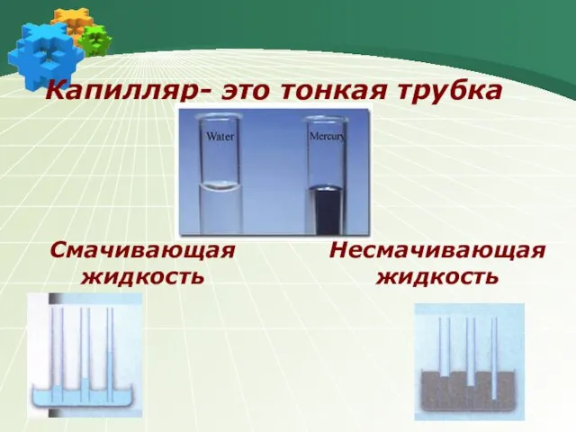 Капилляр- это тонкая трубка Несмачивающая жидкость Смачивающая жидкость