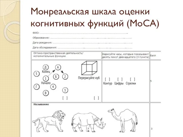 Монреальская шкала оценки когнитивных функций (МоСА)