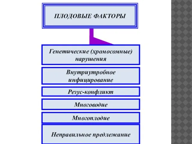 Многоплодие Неправильное предлежание Резус-конфликт Многоводие Внутриутробное инфицирование Генетические (хромосомные) нарушения ПЛОДОВЫЕ ФАКТОРЫ