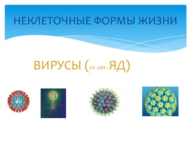 ВИРУСЫ (от лат- ЯД) НЕКЛЕТОЧНЫЕ ФОРМЫ ЖИЗНИ