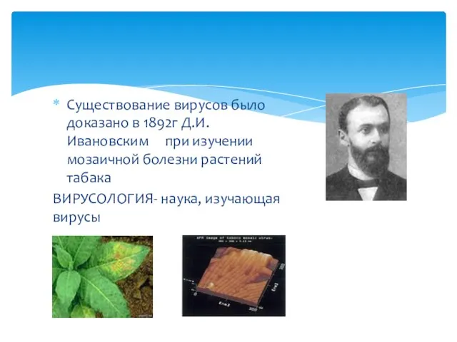 Существование вирусов было доказано в 1892г Д.И.Ивановским при изучении мозаичной болезни растений