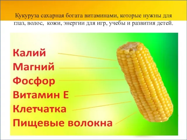 Кукуруза сахарная богата витаминами, которые нужны для глаз, волос, кожи, энергии для