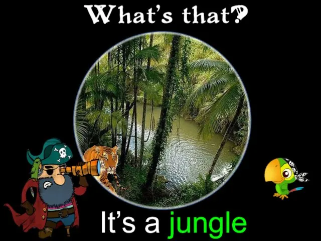 It’s a jungle