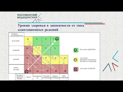 Уровни здоровья в зависимости от типа адаптационных реакций