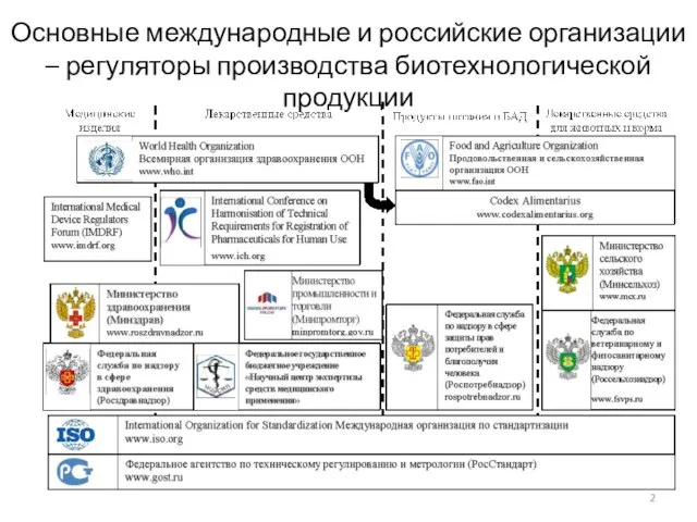 Основные международные и российские организации – регуляторы производства биотехнологической продукции