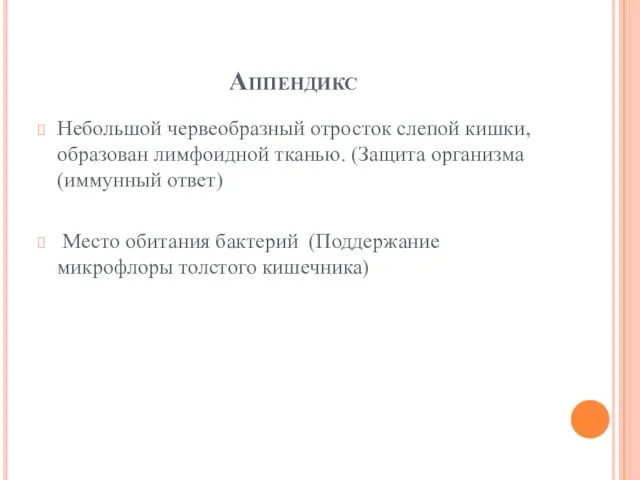 Аппендикс Небольшой червеобразный отросток слепой кишки, образован лимфоидной тканью. (Защита организма (иммунный