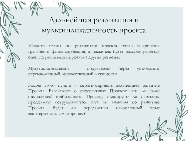 Дальнейшая реализация и мультипликативность проекта Укажите планы по реализации проекта после завершения