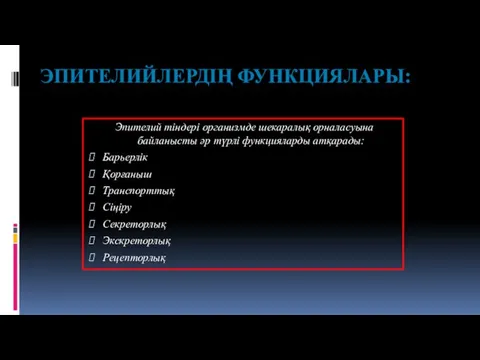 ЭПИТЕЛИЙЛЕРДІҢ ФУНКЦИЯЛАРЫ: Эпителий тіндері организмде шекаралық орналасуына байланысты әр түрлі функцияларды атқарады: