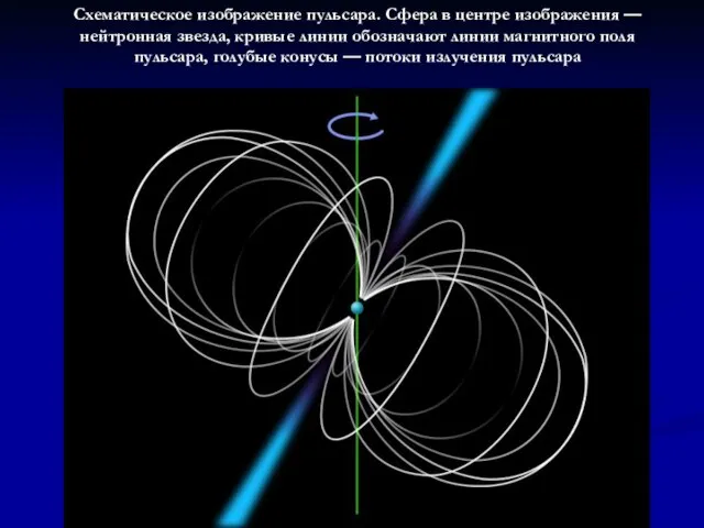 Схематическое изображение пульсара. Сфера в центре изображения — нейтронная звезда, кривые линии