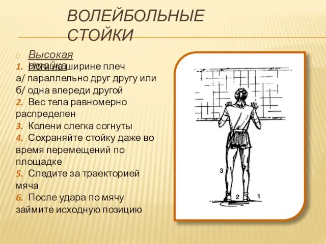 ВОЛЕЙБОЛЬНЫЕ СТОЙКИ Высокая стойка 1. Ноги на ширине плеч а/ параллельно друг