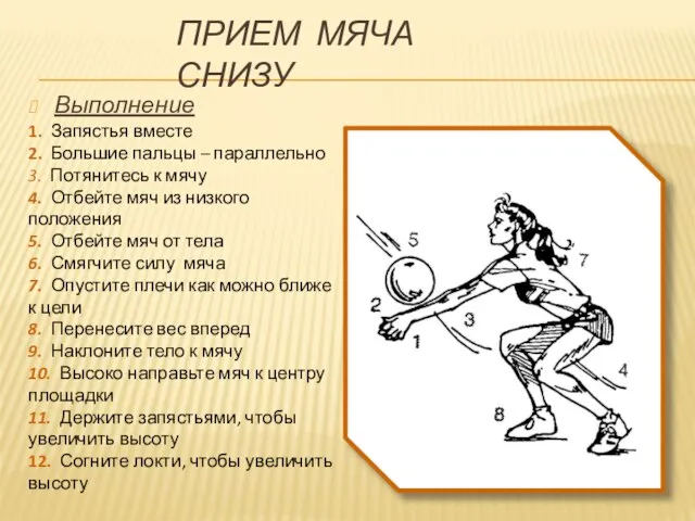 ПРИЕМ МЯЧА СНИЗУ Выполнение 1. Запястья вместе 2. Большие пальцы – параллельно