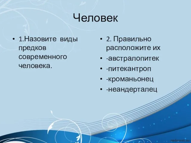 Человек 1.Назовите виды предков современного человека. 2. Правильно расположите их -австралопитек -питекантроп -кроманьонец -неандерталец