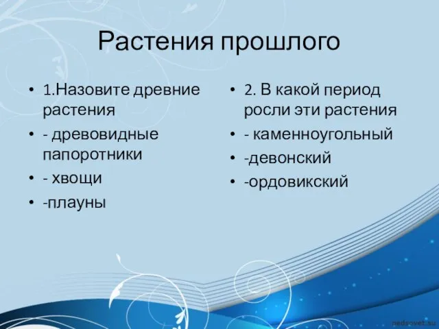 Растения прошлого 1.Назовите древние растения - древовидные папоротники - хвощи -плауны 2.