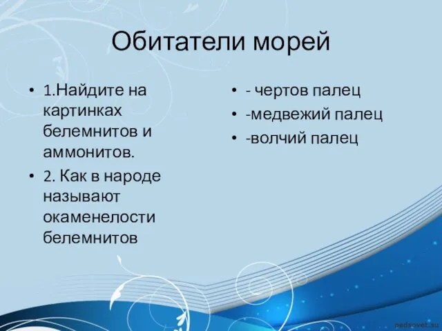 Обитатели морей 1.Найдите на картинках белемнитов и аммонитов. 2. Как в народе