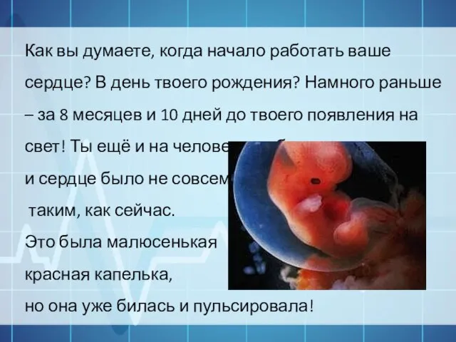 Как вы думаете, когда начало работать ваше сердце? В день твоего рождения?