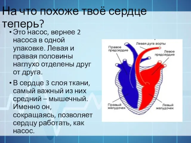 На что похоже твоё сердце теперь? Это насос, вернее 2 насоса в