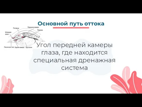 Основной путь оттока Угол передней камеры глаза, где находится специальная дренажная система