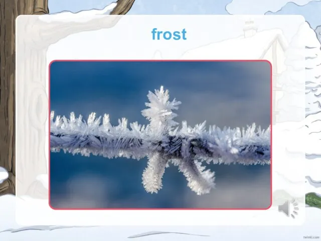 frost