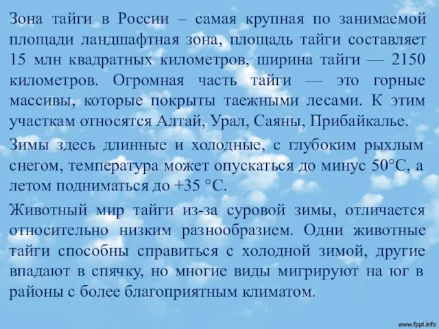 Зона тайги в России – самая крупная по занимаемой площади ландшафтная зона,