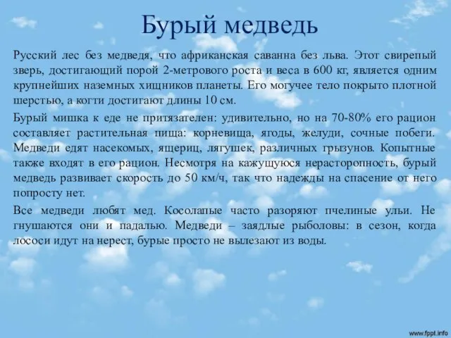 Бурый медведь Русский лес без медведя, что африканская саванна без льва. Этот