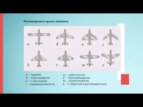 Разновидности крыла самолета: д — треугольное; а — прямое; б — стреловидное;