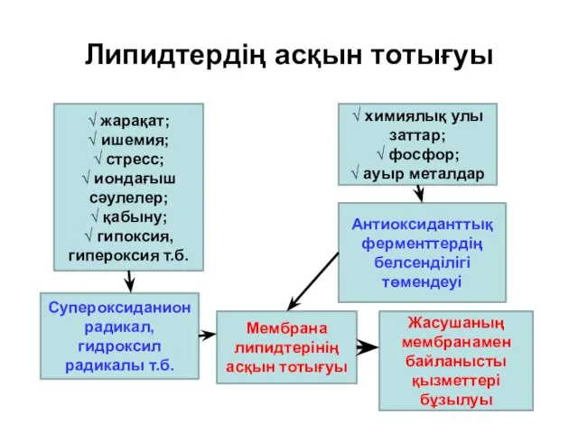 Липидтердің асқын тотығуы √ жарақат; √ ишемия; √ стресс; √ иондағыш сәулелер;