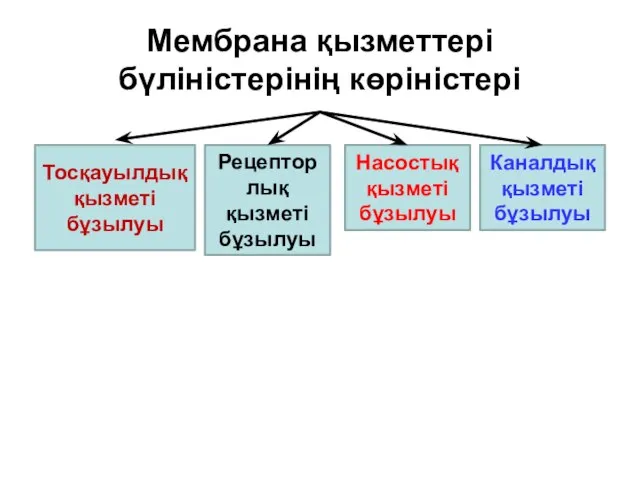 Мембрана қызметтері бүліністерінің көріністері Тосқауылдық қызметі бұзылуы Рецепторлық қызметі бұзылуы Насостық қызметі бұзылуы Каналдық қызметі бұзылуы