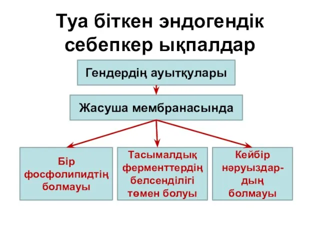 Туа біткен эндогендік себепкер ықпалдар Гендердің ауытқулары Жасуша мембранасында Бір фосфолипидтің болмауы