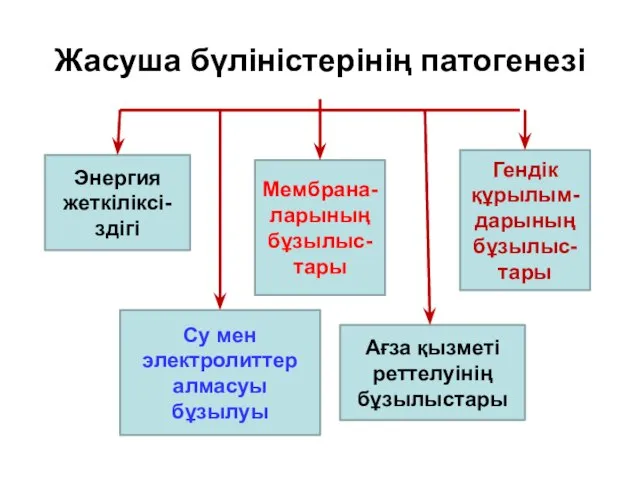 Жасуша бүліністерінің патогенезі Энергия жеткіліксі- здігі Мембрана-ларының бұзылыс- тары Гендік құрылым-дарының бұзылыс-