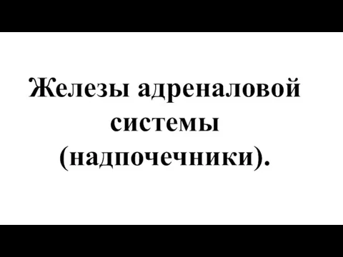 Железы адреналовой системы (надпочечники).