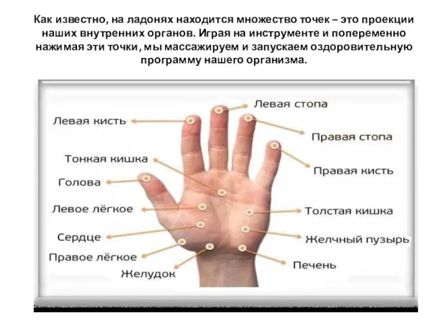 Как известно, на ладонях находится множество точек – это проекции наших внутренних