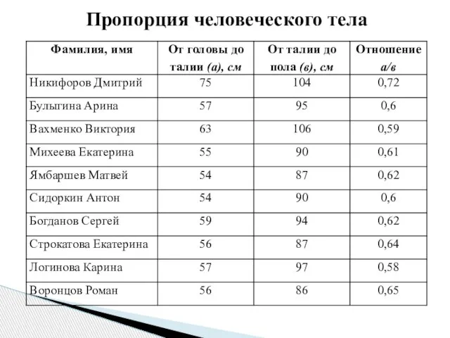 Пропорция человеческого тела