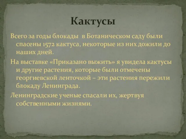 Всего за годы блокады в Ботаническом саду были спасены 1572 кактуса, некоторые