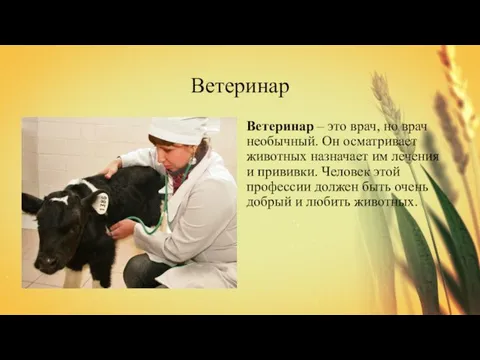 Ветеринар Ветеринар – это врач, но врач необычный. Он осматривает животных назначает