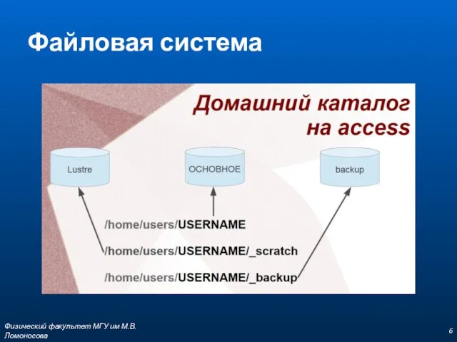 Файловая система Физический факультет МГУ им М.В.Ломоносова