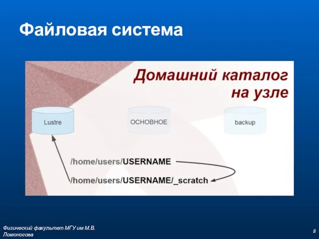 Файловая система Физический факультет МГУ им М.В.Ломоносова