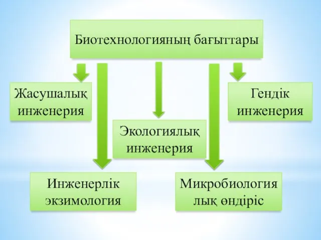 Биотехнологияның бағыттары Жасушалық инженерия Гендік инженерия Микробиологиялық өндіріс Инженерлік экзимология Экологиялық инженерия