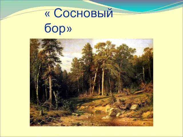 « Сосновый бор»